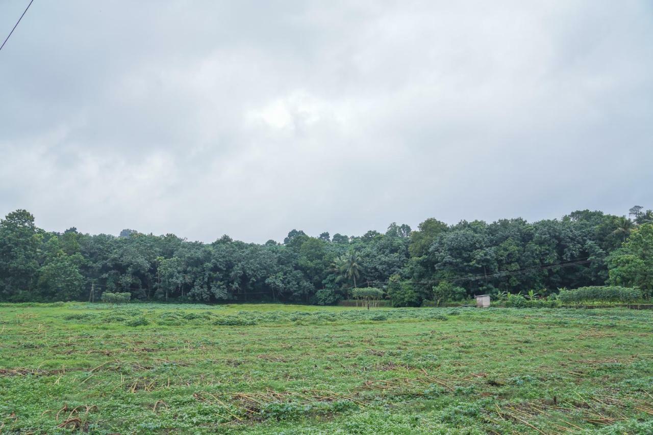 Thanal Premium Villa By - A Place To Call Your Home Muvattupuzha Экстерьер фото